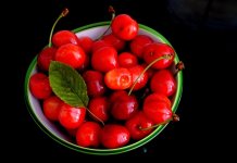 Werka - miseczki plastikowe (3).jpg